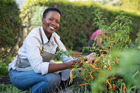 Vegetable Garden Layout Plans and Spacing