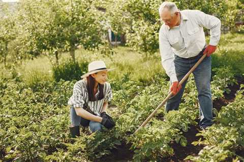 Gardening Tips and Tricks For the Home Gardener