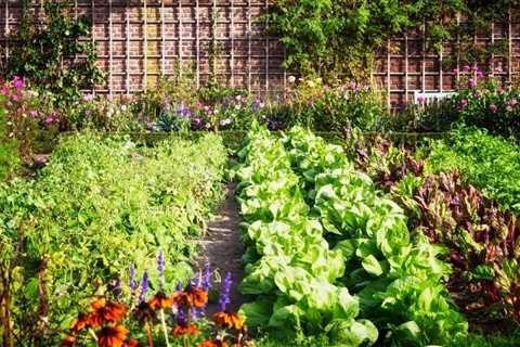 Garden Boxes For Plants - How to Choose the Best Soil For Raised Garden Beds