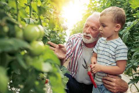 The Year Round Vegetable Gardener and Groundbreaking Food Gardens by Niki Jabbour