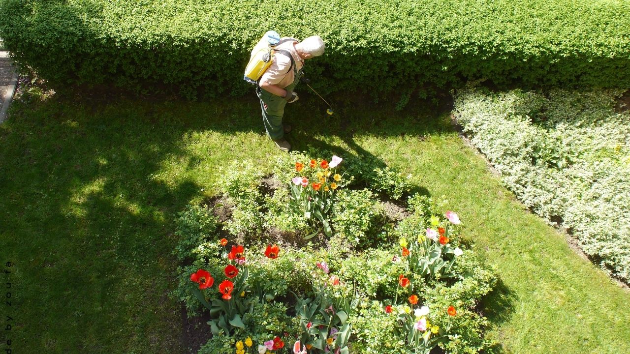 Gardening Jobs For May - Make the Most of Your May Garden