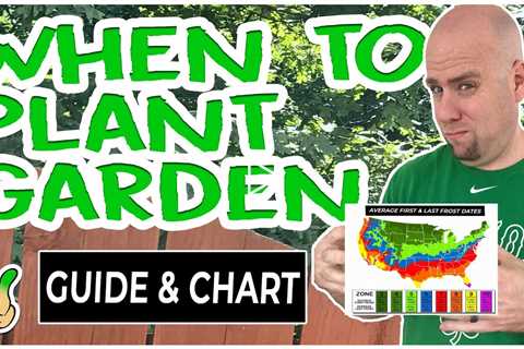 When To Plant A Vegetable Garden [Free Download Guide Incl.]