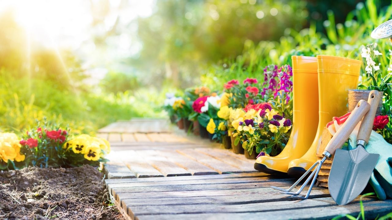 Gardening Hacks to Add Greenery to Your Life