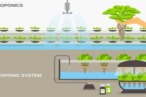 Which Hydroponics System is the Best?