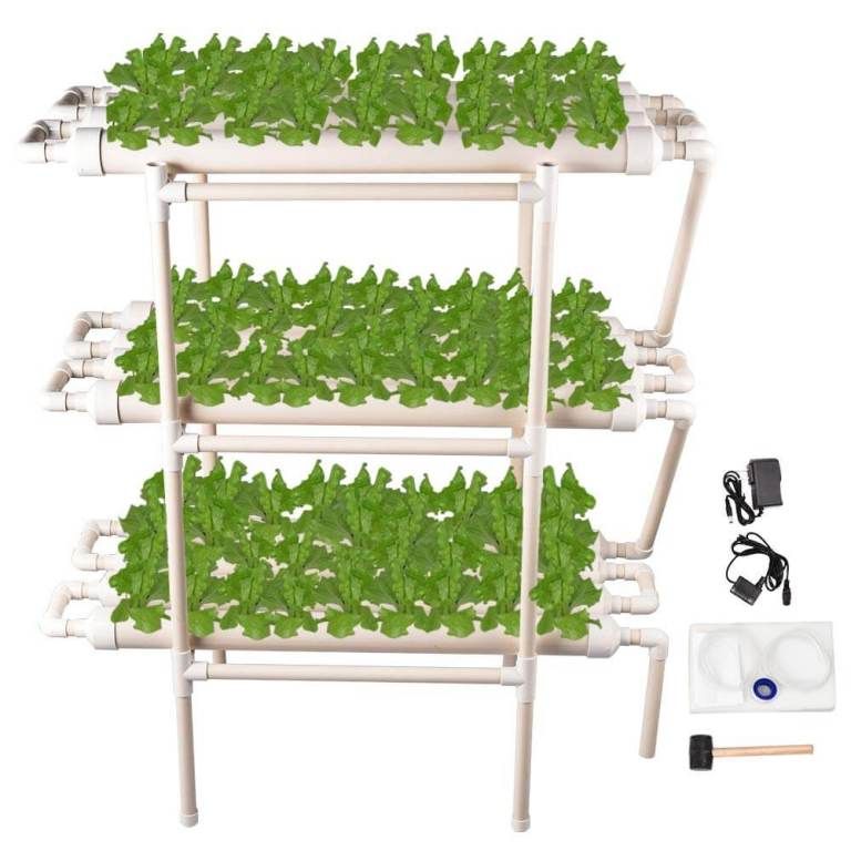 Which Hydroponic Systems Are Best For Growing Plants?