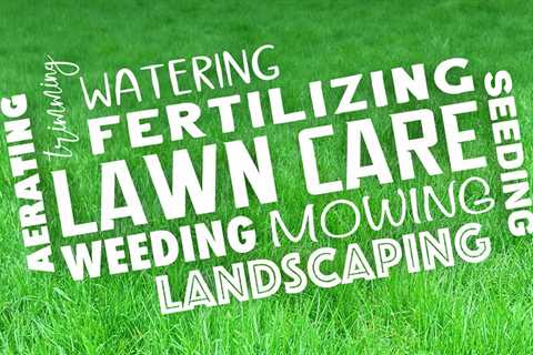 The Optimal Intervals to Apply a Good Lawn Fertilizer