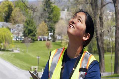 What's the difference between a forester and an arborist?