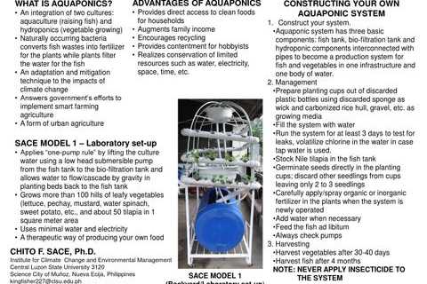 Starting Your Own Aquaponics Business Or Hobby