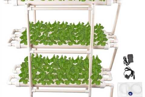 Which Hydroponic Systems Are Best For Growing Plants?