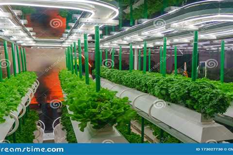 What Is Organic Hydroponic Gardening?
