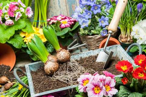 Fun Gardening Projects For Kids