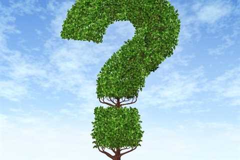 What Lawn Care Products Can Rejuvenate Your Lawn
