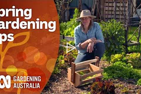 How to get the most success from your spring gardening | Gardening 101 | Gardening Australia