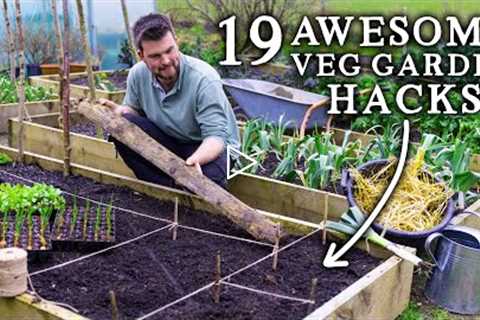 19 Vegetable Gardening Hacks for AMAZING No Dig Harvests