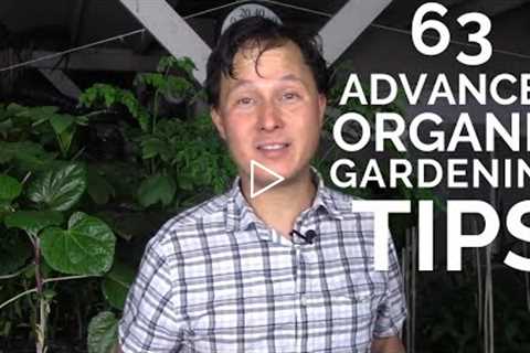 63 Advanced Organic Gardening Tips to Have the Best Vegetable Garden