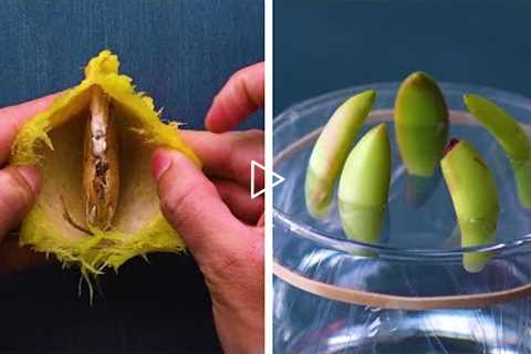 13 Genius Gardening Hacks That You’ll Be Glad to Know! Blossom