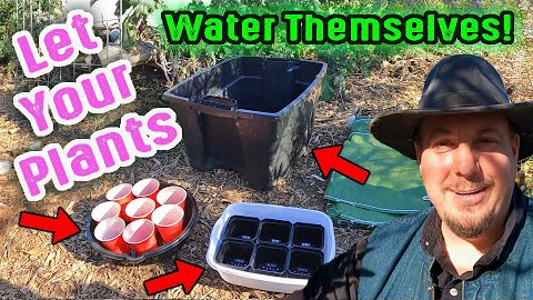 This Easy Water Wicking Gardening Hack Will Change The Way You Garden Forever!