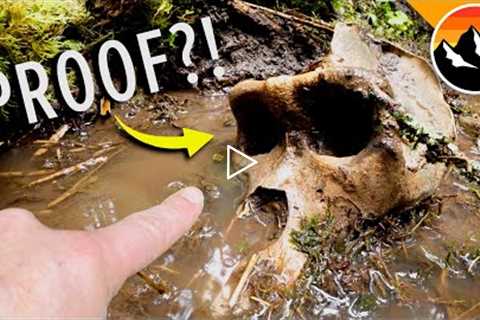 Bigfoot Skull Found in Canada?