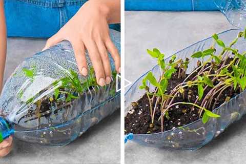 Unusual Hacks For Growing Plants Anywhere 🌱 || Gardening Tips & Hacks For Beginners 🌼