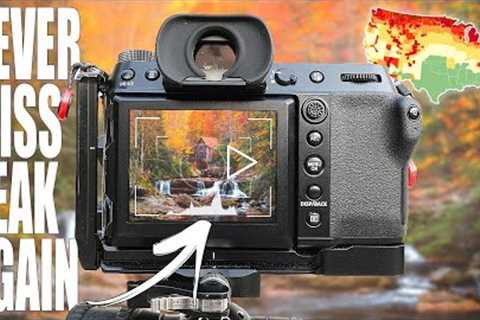 Easiest Way to Improve Your Fall Photography! (no new gear required)