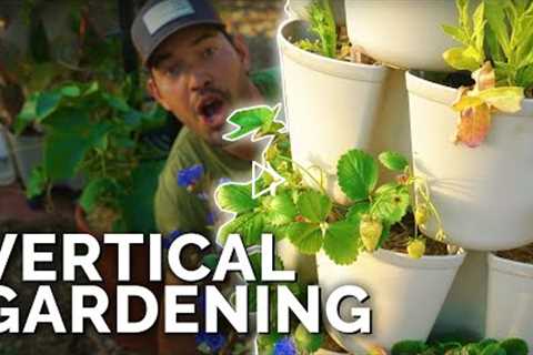 Vertical Gardening 101 | GreenStalk Garden Review