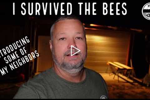 I survived the bees