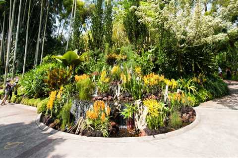 Can you buy plants at botanical garden?