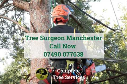 Tree Surgeon in Longford Commercial & Residential Tree Services