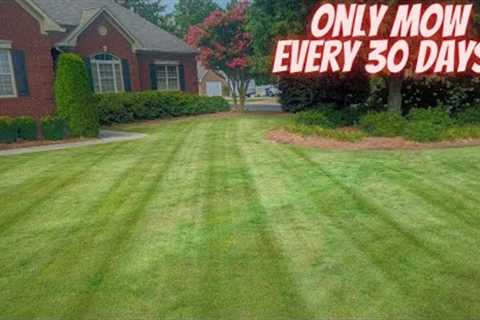 Mowing Once Every 30 Days for a Perfect Lawn!!