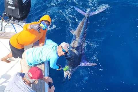 Top Reasons To Fish The Galapagos Islands, Ecuador & Peru With Ecuagringo