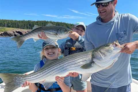 Maine Fishing Seasons: The Complete Guide