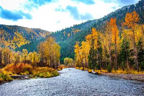 Montana Fishing: The Complete Guide