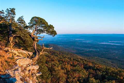 Fishing in Arkansas: The Complete Guide