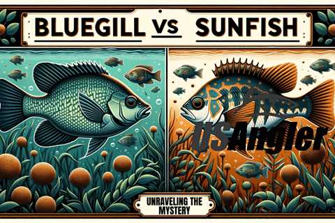 Casting Light on the Bluegill vs Sunfish Debate: What Every Angler Should Know!