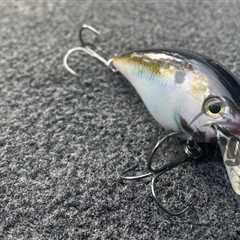 Best Square Bill Crankbaits Reviewed: The Ultimate Pre-spawn and Early Fall Lure