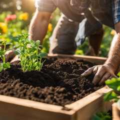 Organic Fertilizers: Boost Raised Bed Gardens
