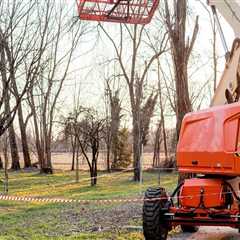 Enhancing The Beauty Of Bethany With Tree Service And Urban Forestry