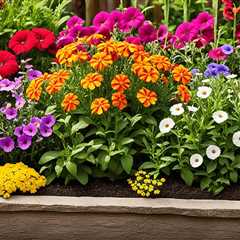 Best Flower Varieties for Raised Garden Beds