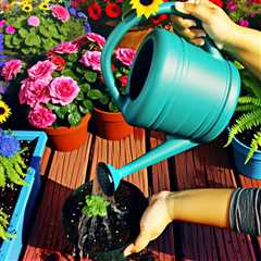 “Watering Container Gardens: Tips for Keeping Potted Plants Hydrated”