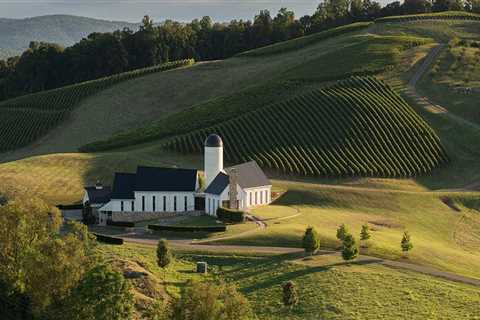 Exploring the Vibrant Vineyards of Dulles, Virginia