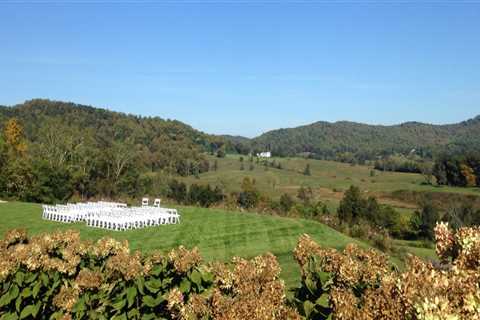 Exploring the Vineyards of Dulles, Virginia: Discounts and Deals