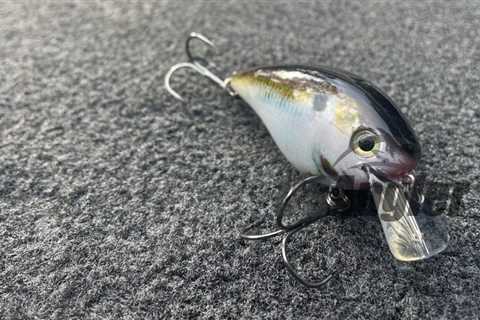 Best Square Bill Crankbaits Reviewed: The Ultimate Pre-spawn and Early Fall Lure