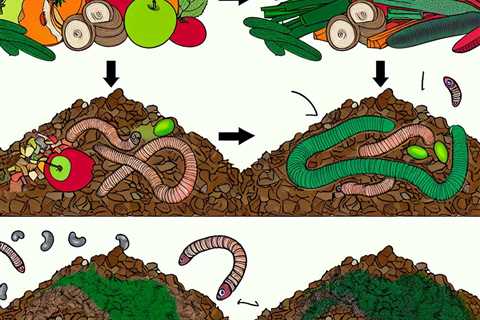 “The Role of Worms in Composting: Vermicomposting Explained”