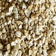 Perlite and Vermiculite: The Perfect Grow Media for Your Hydroponic Garden