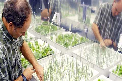 Making Your Own Organic Hydroponic Nutrients: A Complete Guide