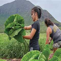 The Vital Role of Local Farmers in Hawaii's Food System