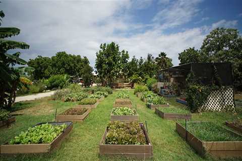 Promoting Sustainable Practices in Hawaii's Food System