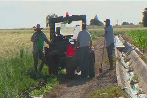 The Vital Role of Migrant Workers in Agriculture in Canyon County, ID