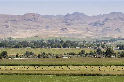 The Impact of Agriculture on the Culture and Traditions of Canyon County, ID