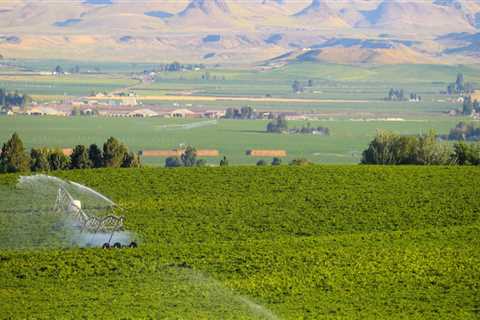 Supporting Agriculture in Canyon County, ID